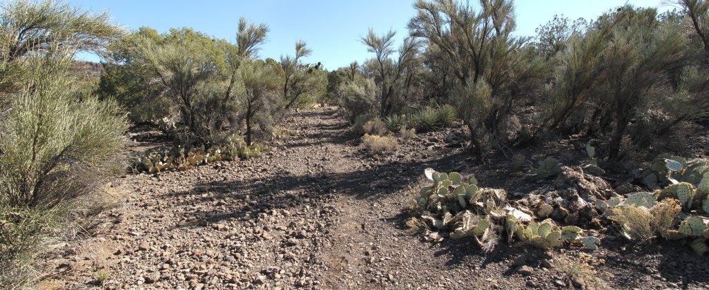 BeaverHeadRoute2