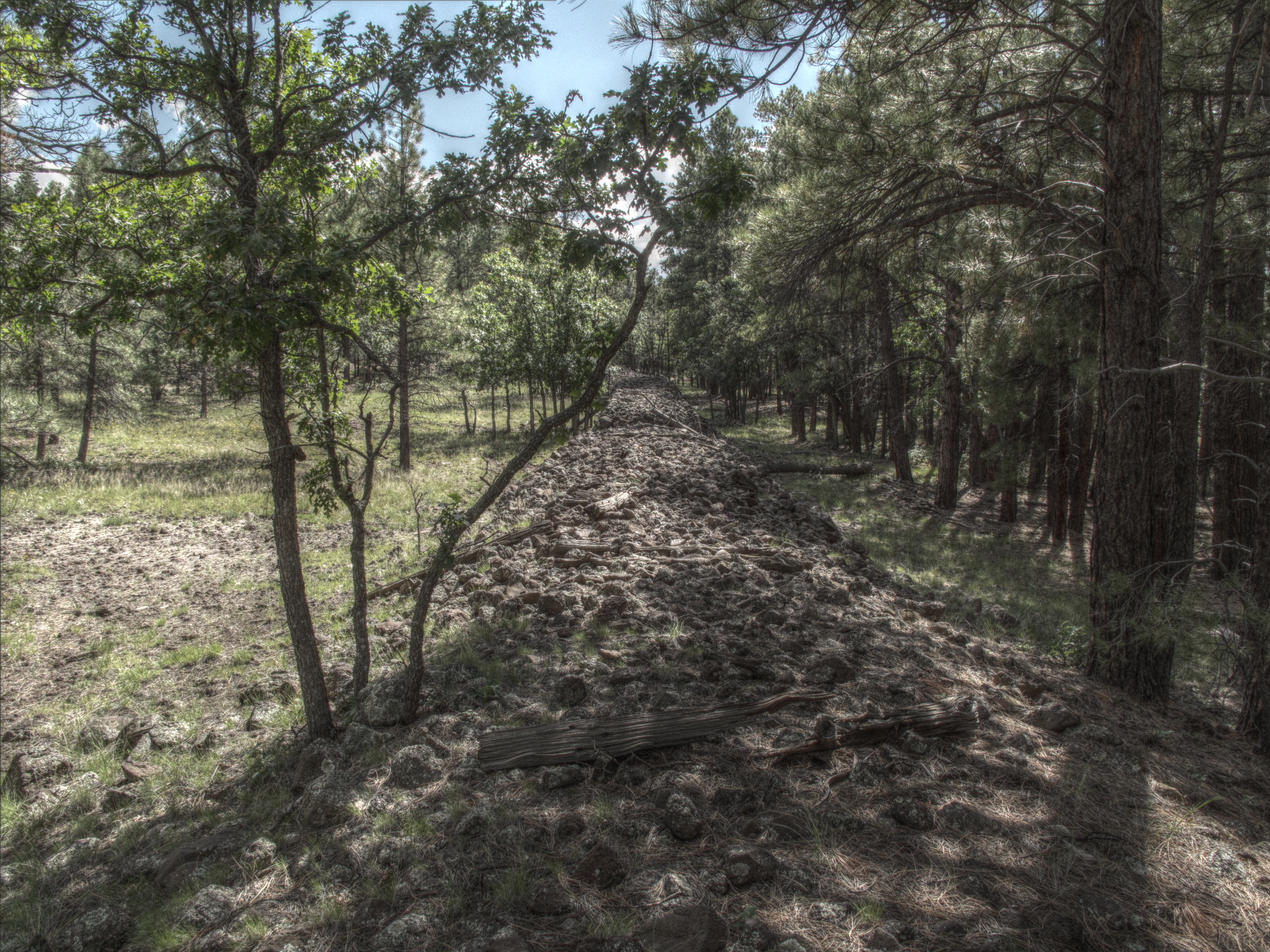 North of Mormon Lake