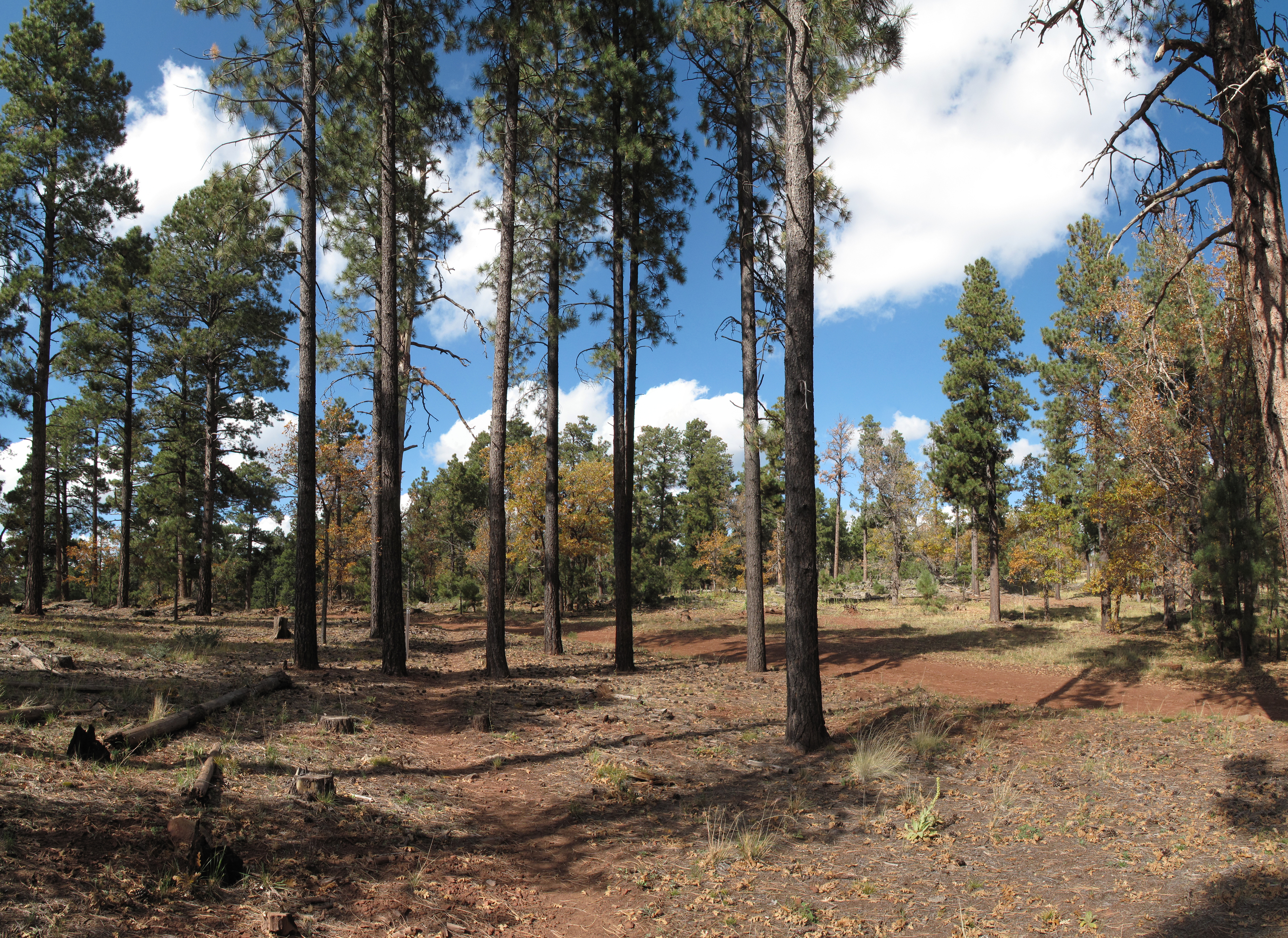 South of Mormon Mountain