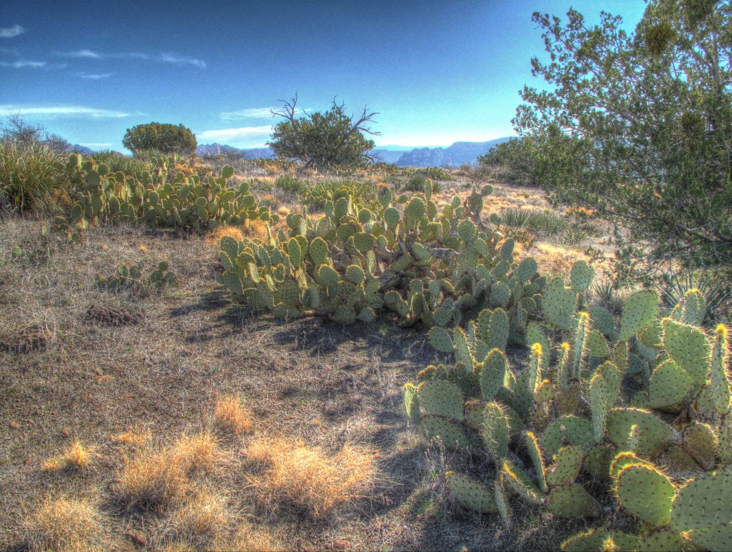 Scheurman Mountain – wellsgeist