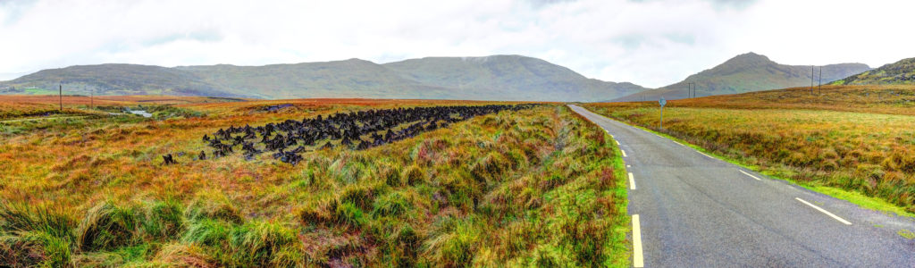 Peat out-to-dry