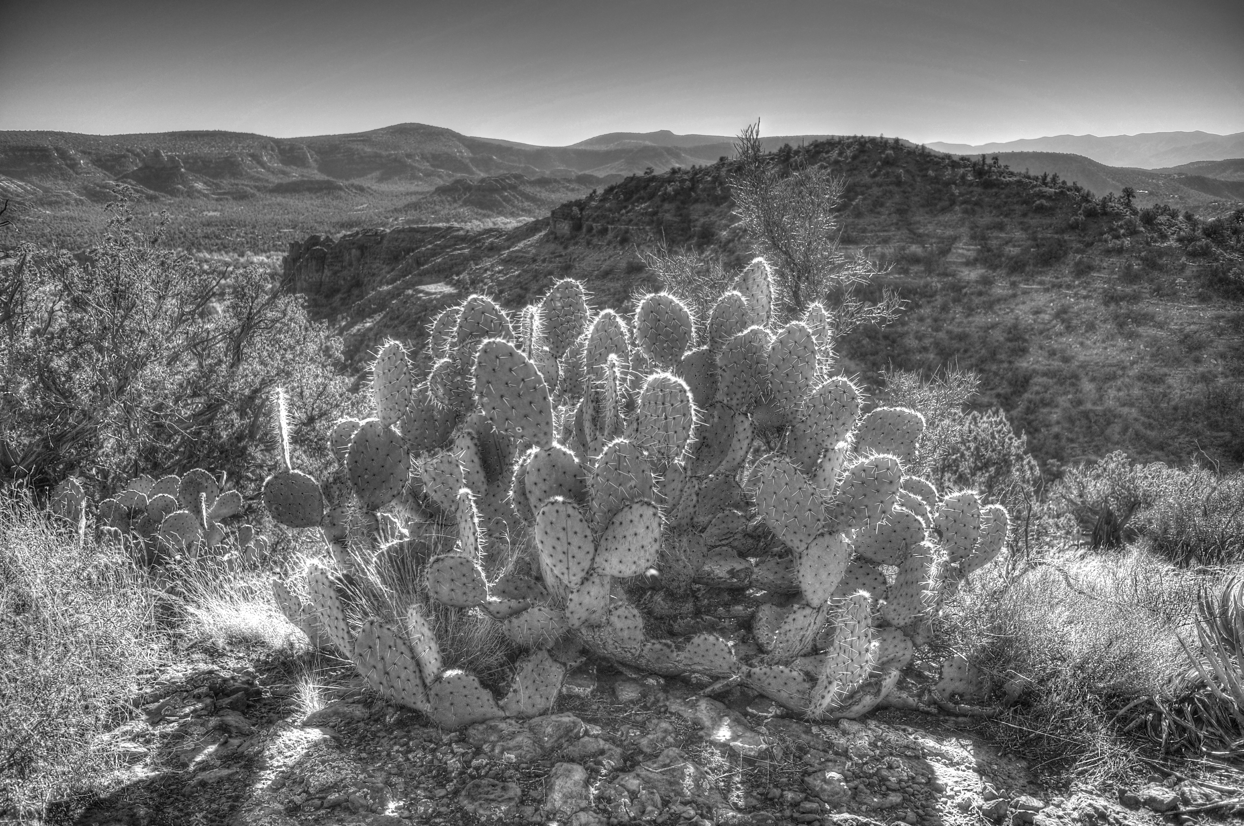 Pyramid Trail