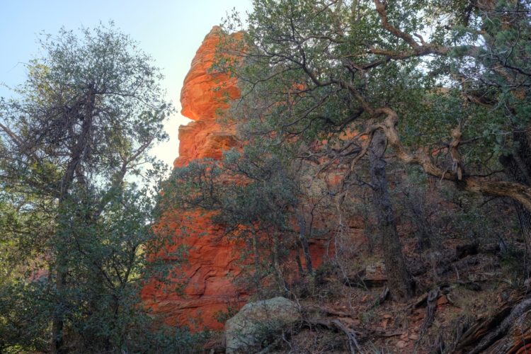 Long Canyon Trail