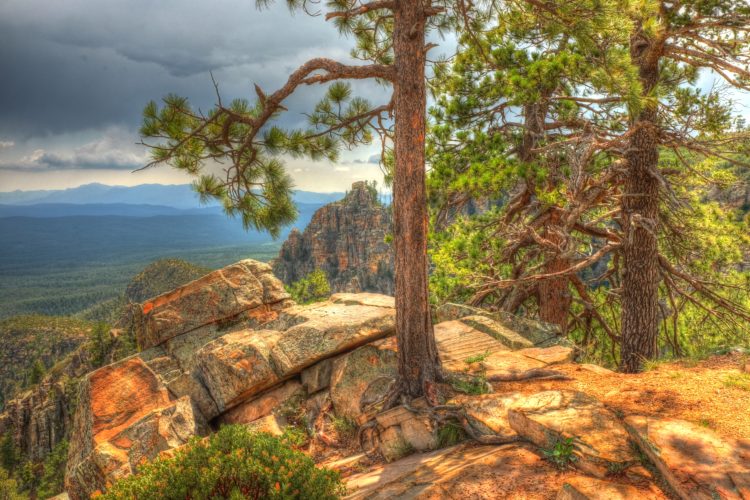 Tunnel on the rim.