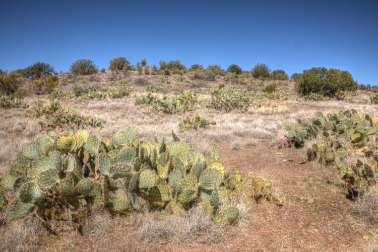 Lime Kiln, North of 89A