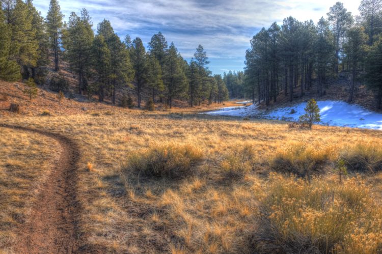 Skunk Canyon – Flagstaff Loop Trail